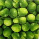 097 Lemons,  Oranges - 3-ply - Duni